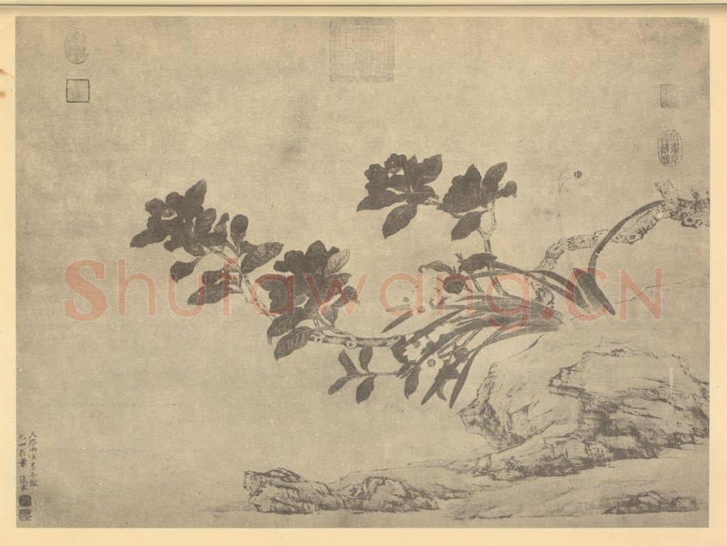 明 张宏《茶花水仙图》国画作品