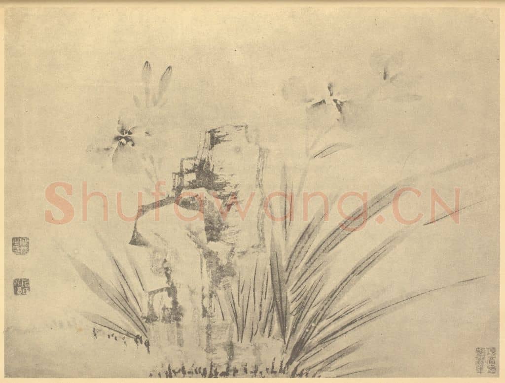 明 陈淳《萱草图》国画作品