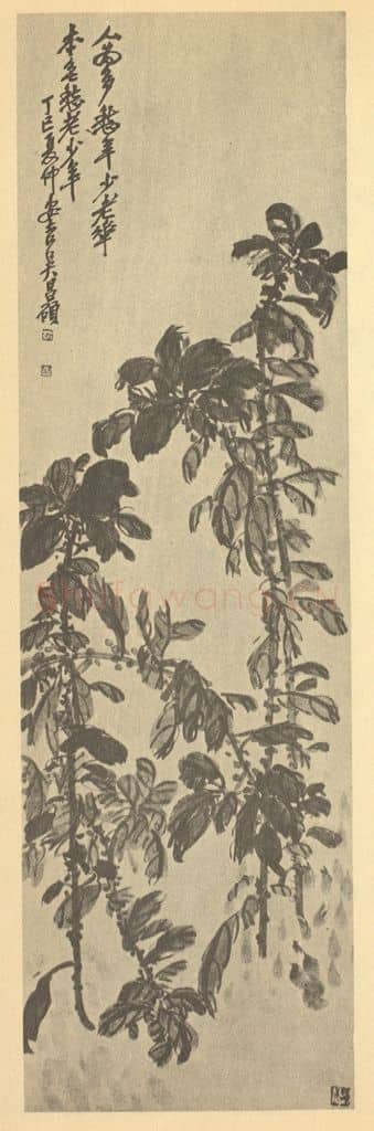 清 吴昌硕《雁来红》国画作品