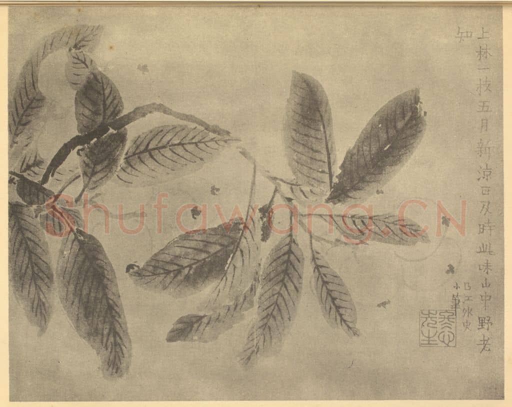 清 金农《枇杷》国画作品