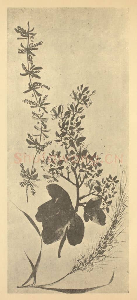 清 黄钺《二十四番华信（六）》国画作品
