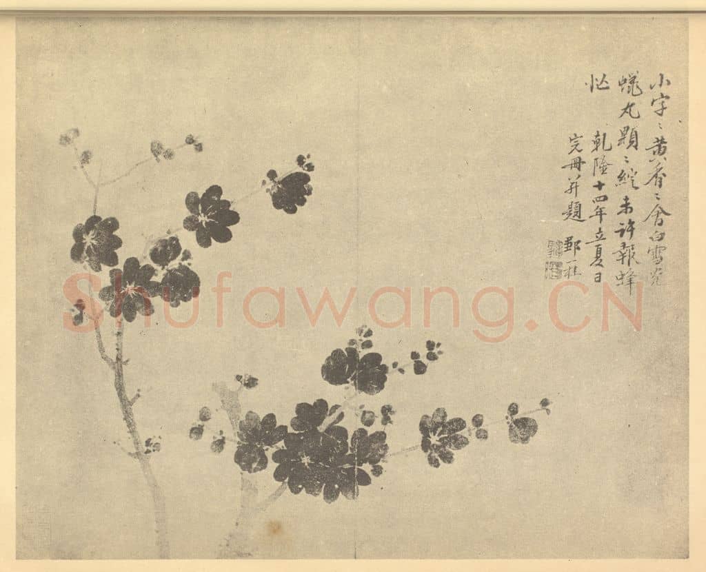 清 邹一桂《蜡梅》国画作品