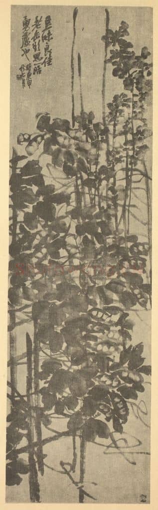 清 吴昌硕《荳花图》国画作品