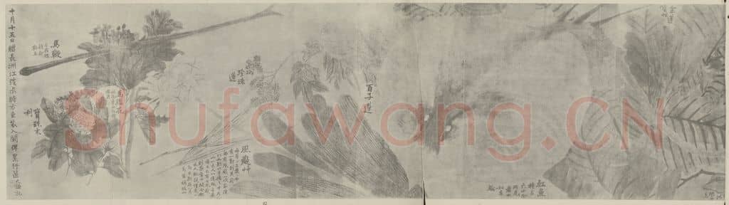 清 赵之谦《瓯中物产卷(二)》国画作品