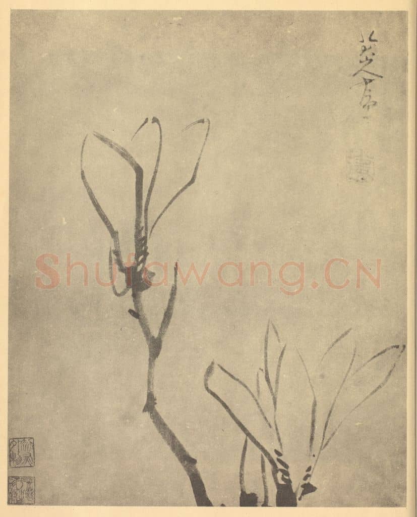 清 朱耷《木兰》国画作品