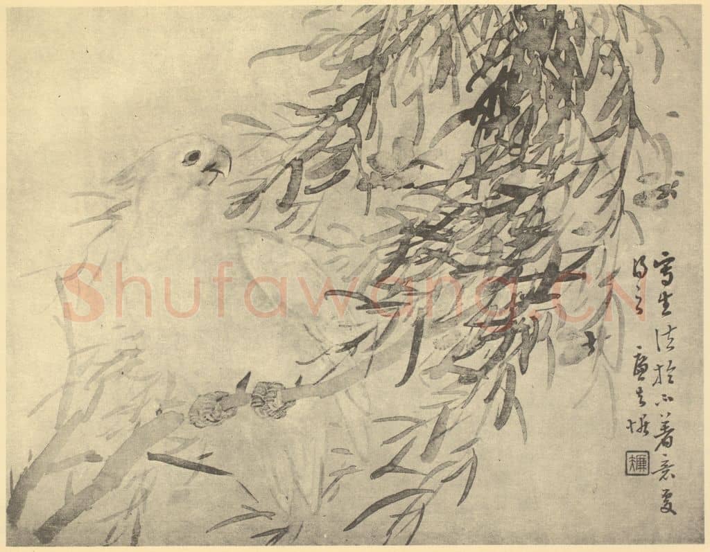 清 陆恢《白鹦鹉图》国画作品