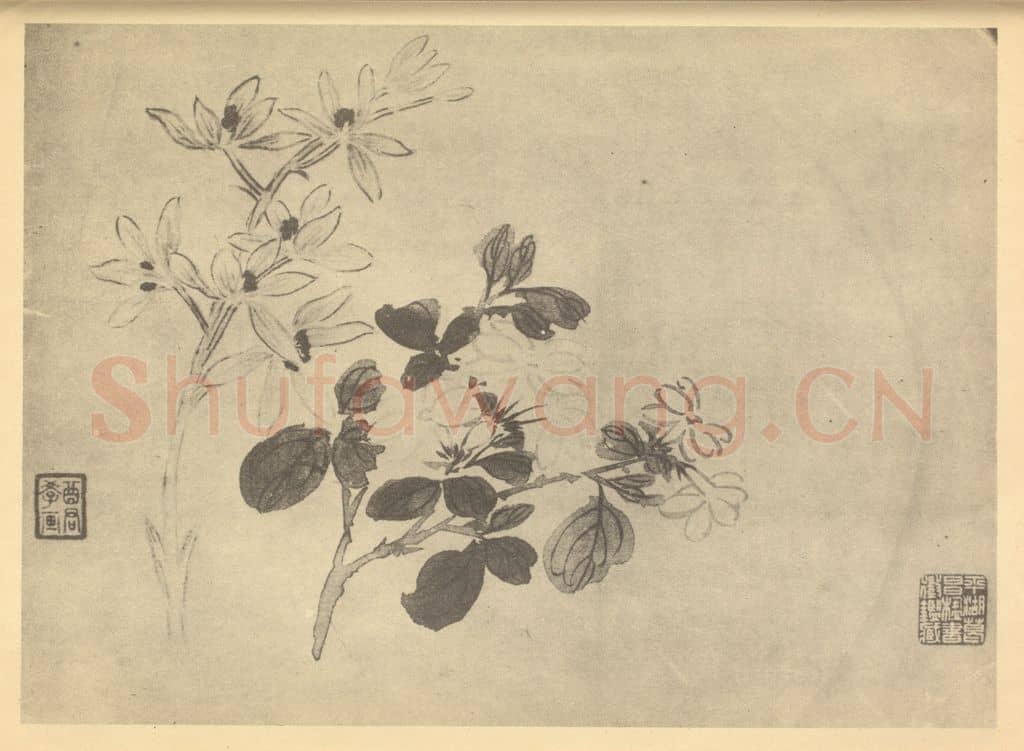清 蒋廷锡《蕙茉莉》国画作品