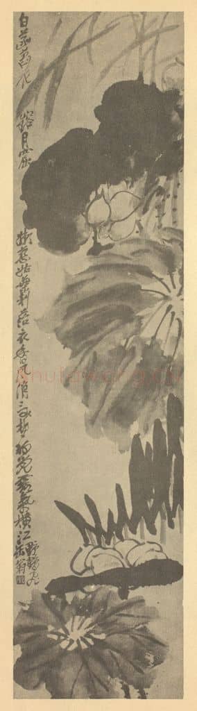 清 吴昌硕《荷花》国画作品