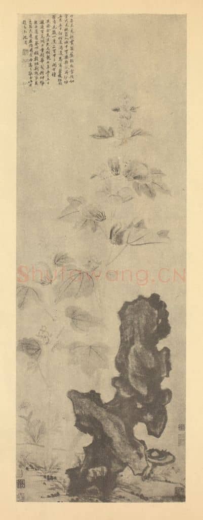 明 沈周《芙蓉图》国画作品
