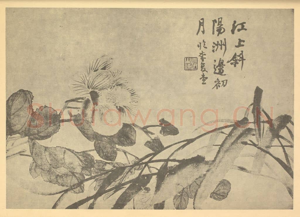 清 赵之谦《芙蓉图》国画作品
