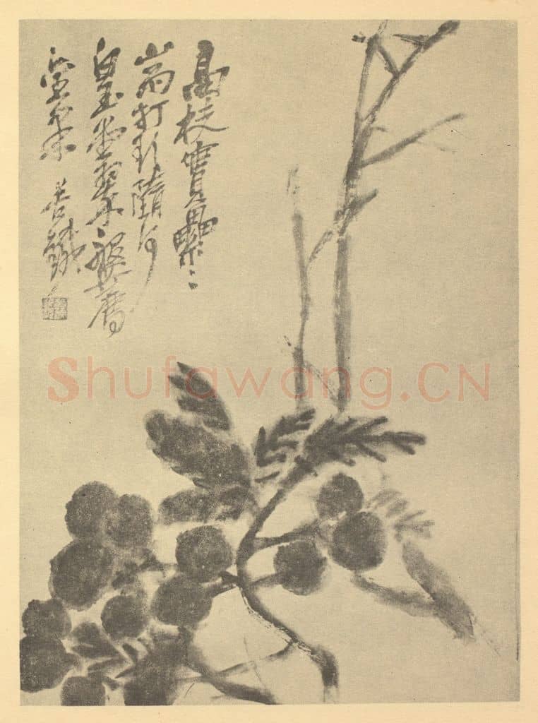 清 吴昌硕《荔枝》国画作品