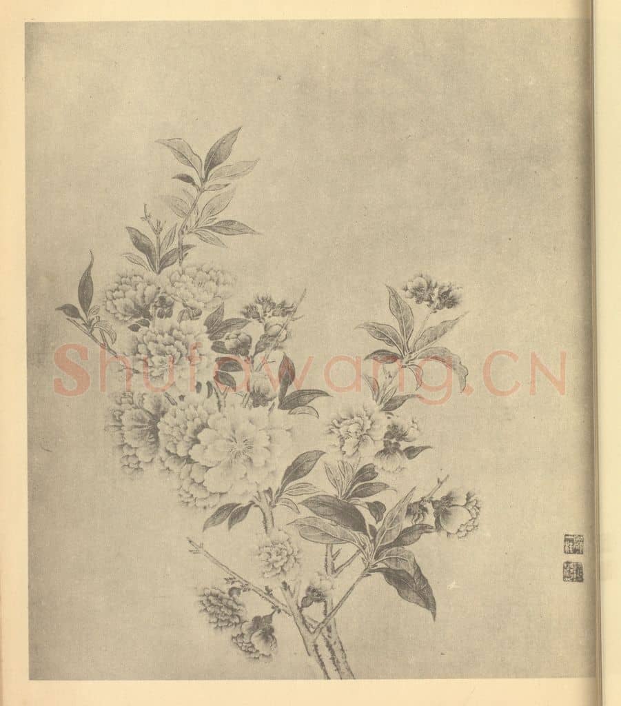 清 邹一桂《芍药》国画作品