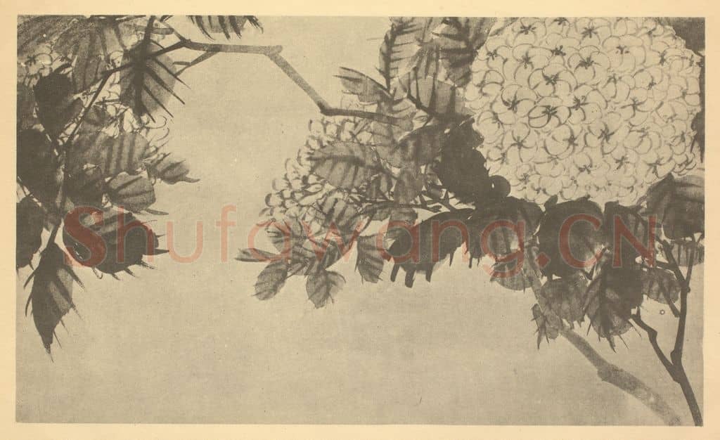 清 吴熙载《绣球》国画作品