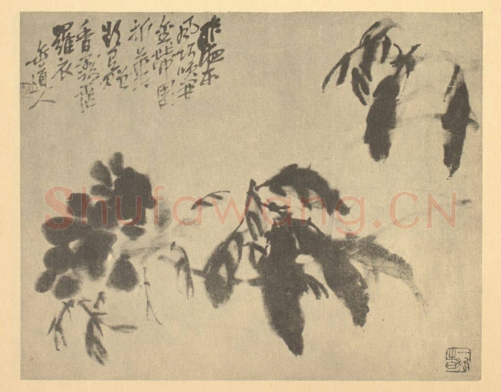 清 吴昌硕《芍药》国画作品