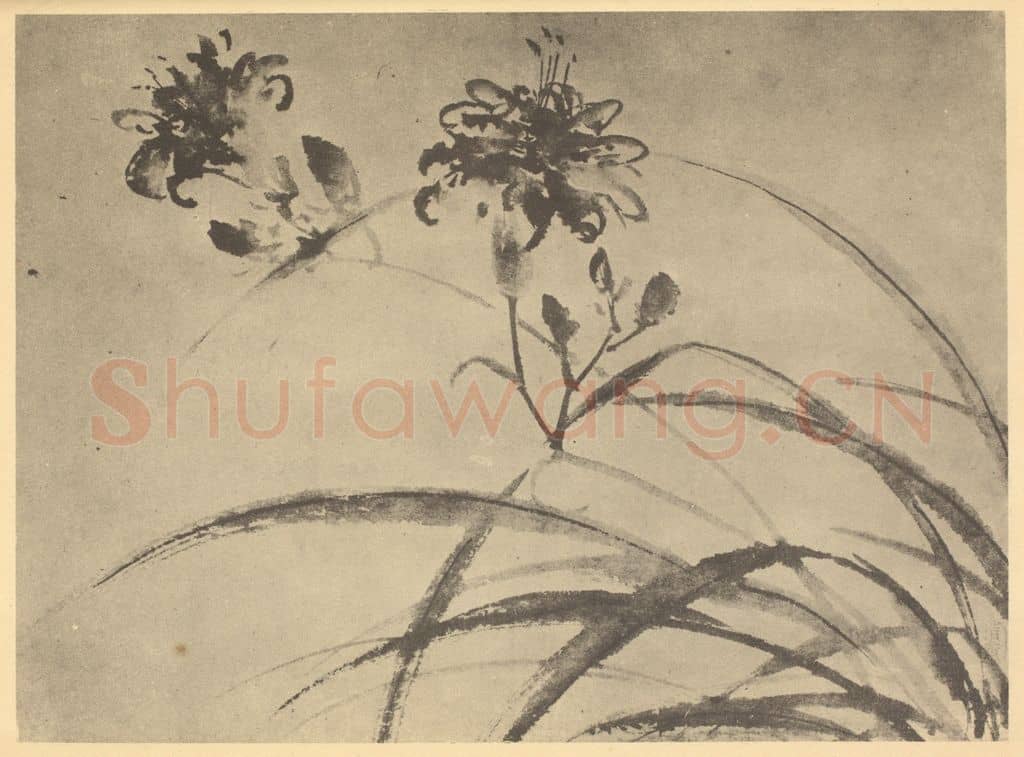 明 陈淳《萱花》国画作品
