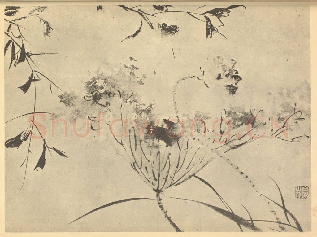 明 陈淳《莲叶图》国画作品