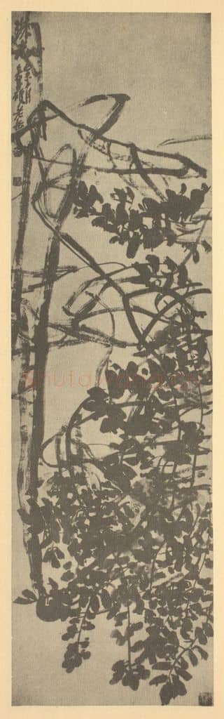 清 吴昌硕《珠藤》国画作品
