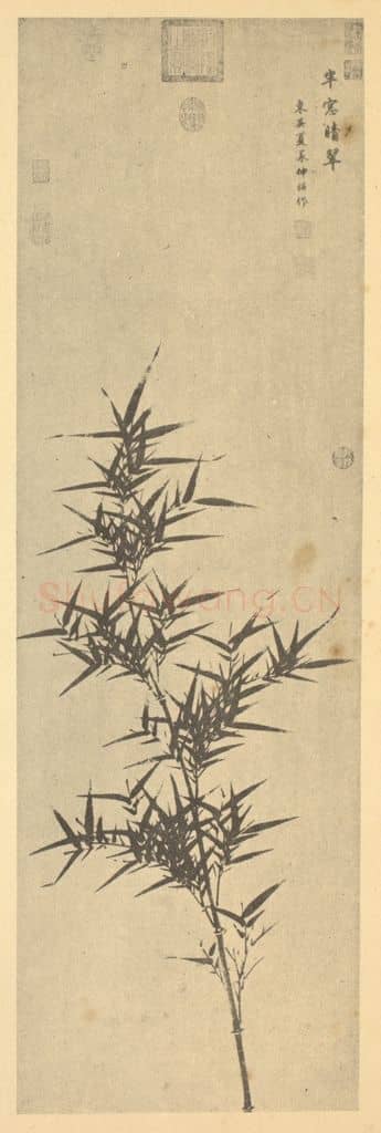 明 夏㫤《竹》国画作品