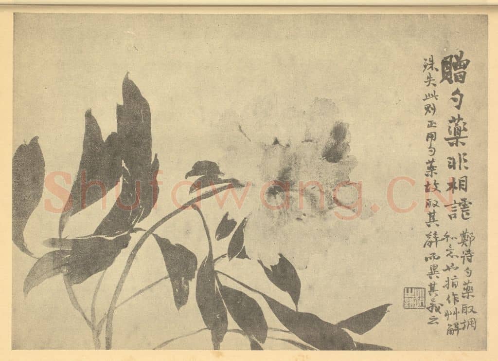 清 赵之谦《芍药》国画作品
