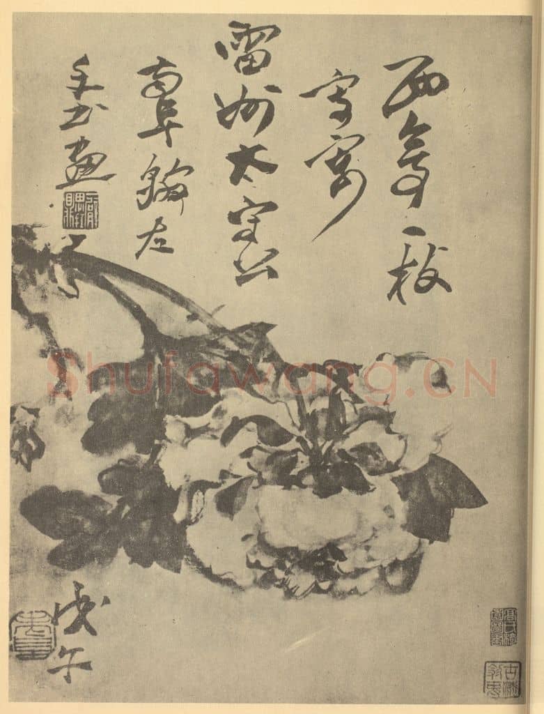 清 高凤翰《牡丹》国画作品