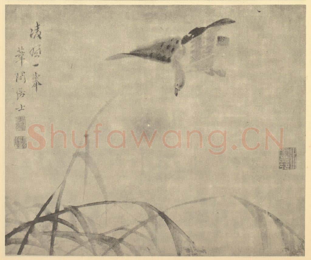 清 边寿民《芦雁图(八)》国画作品