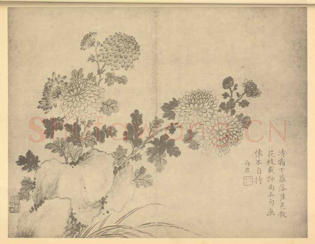 清 蒋廷锡《菊石》国画作品