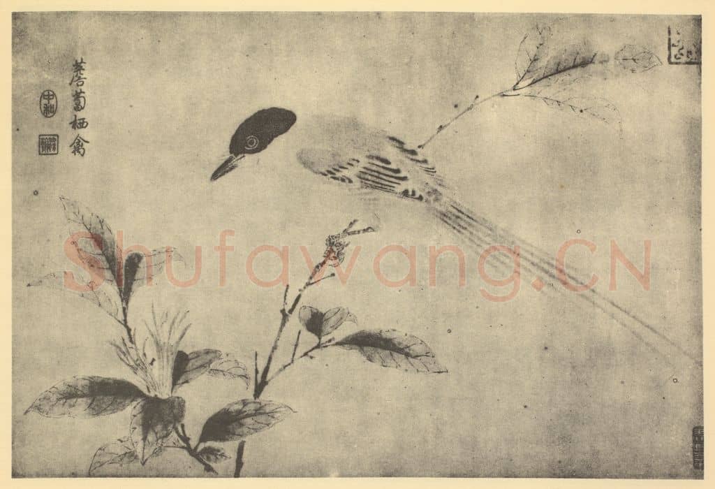 宋·辽 宋人《薝卜栖禽》国画作品