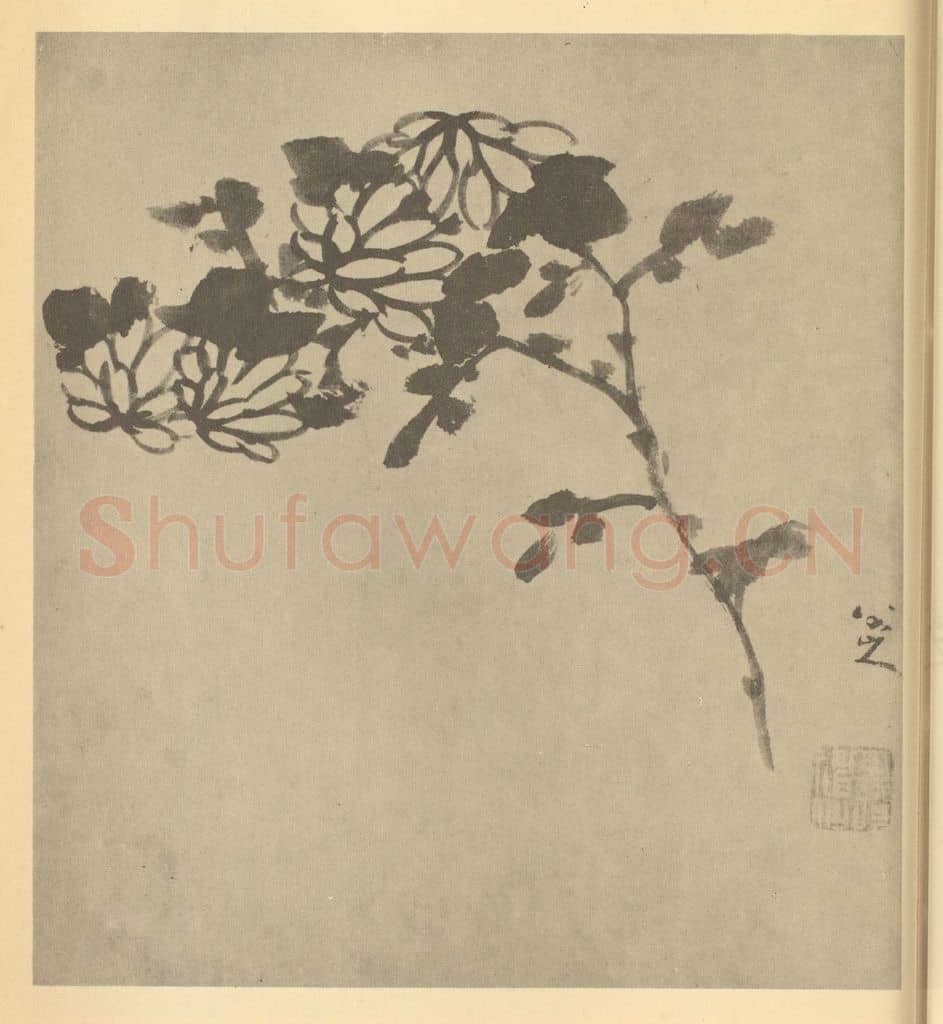 清 朱耷《菊》国画作品