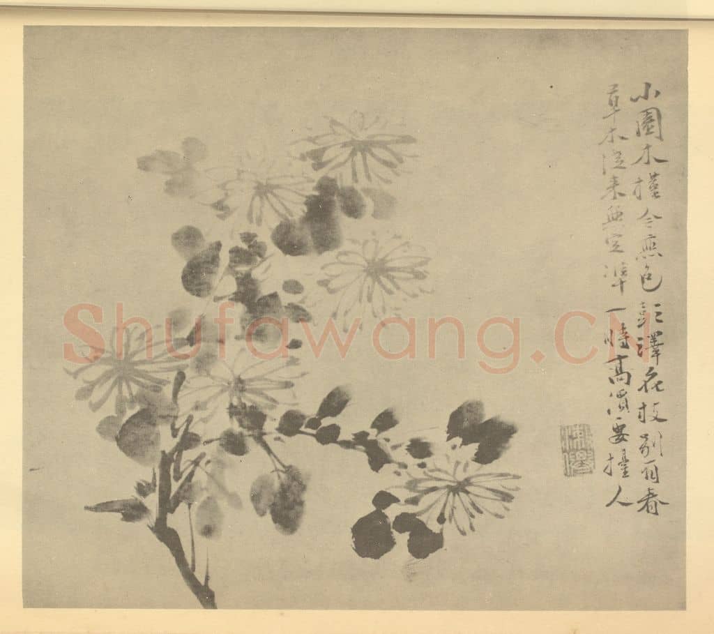 明 徐渭《菊》国画作品