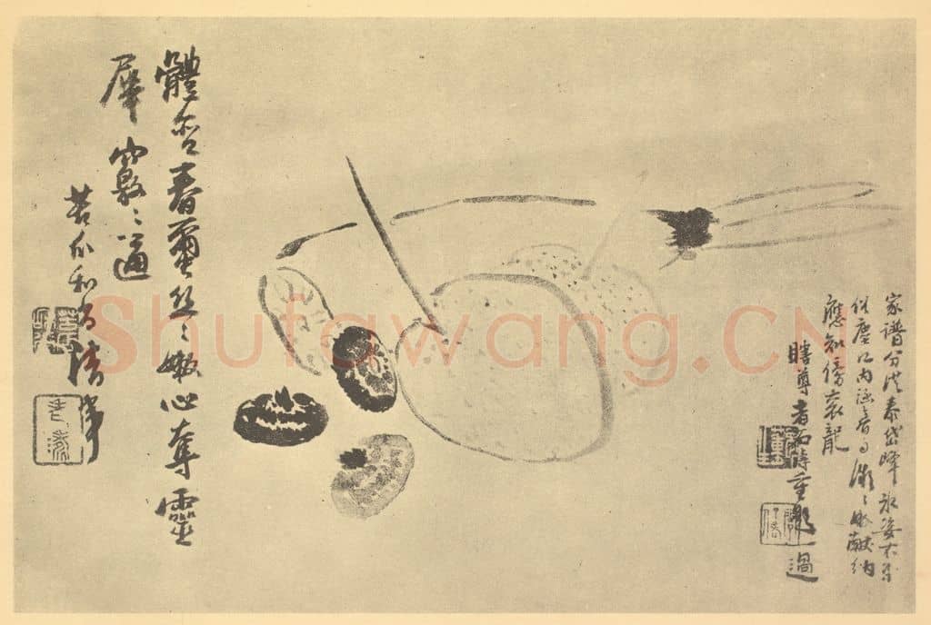 清 道济《蔬果》国画作品