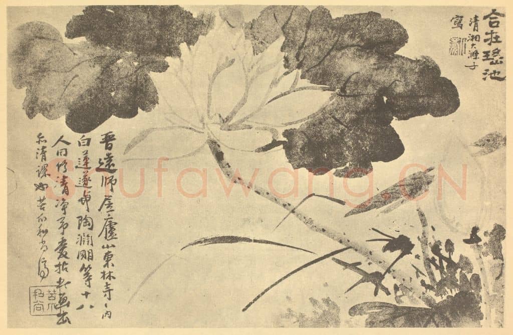 清 道济《荷花图》国画作品