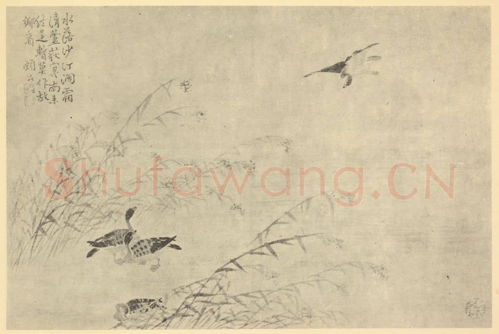 清 边寿民《芦雁图(三)》国画作品