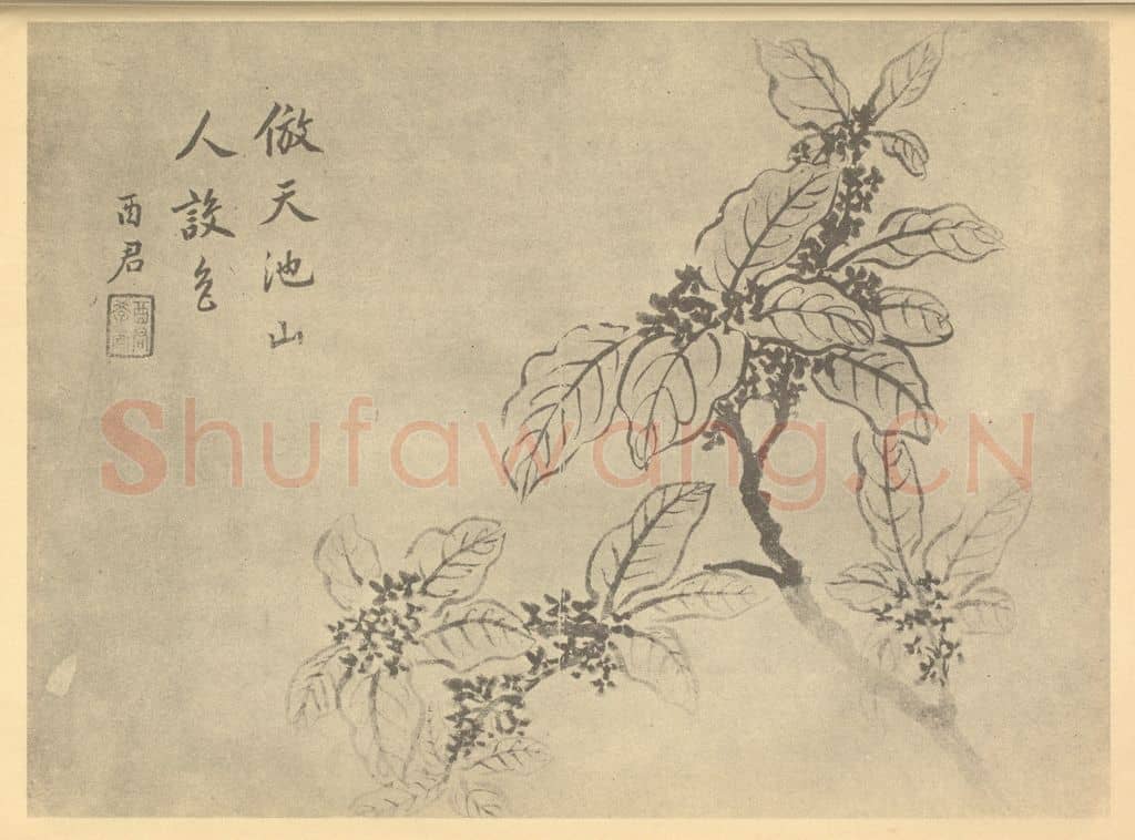 清 蒋廷锡《桂花》国画作品