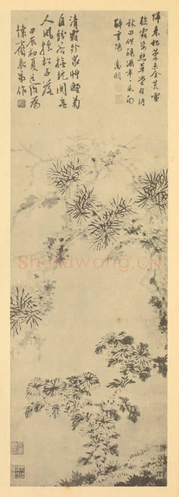 明 陈淳《松菊图》国画作品