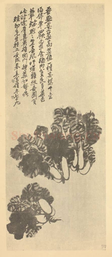 清 吴昌硕《墨菜》国画作品