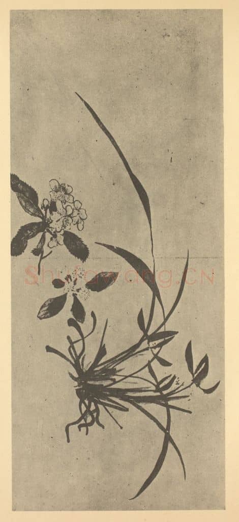 清 黄钺《二十四番华信（一）》国画作品