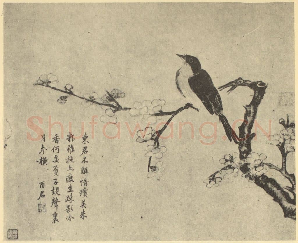 清 蒋廷锡《花鸟》国画作品
