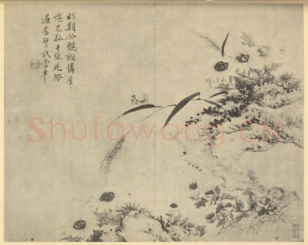 清 邹一桂《秋花蟷螂图》国画作品