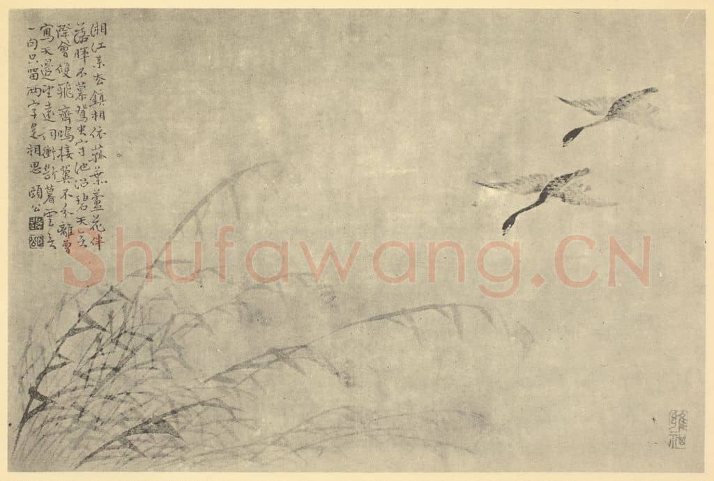 清 边寿民《芦雁图(四)》国画作品
