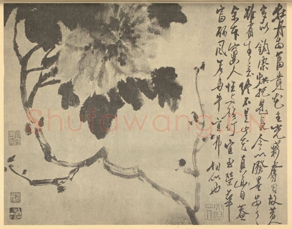 明 徐渭《牡丹》国画作品