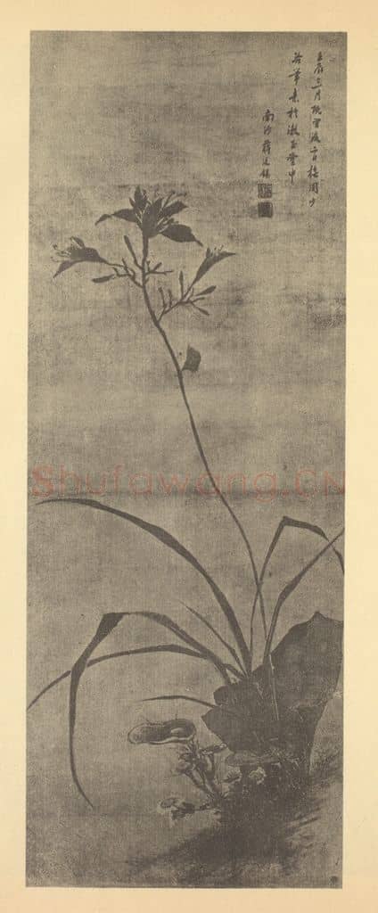 清 蒋廷锡《萱花图》国画作品