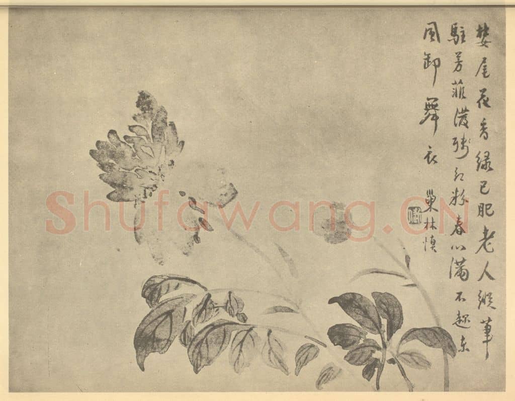 清 汪士慎《芍药》国画作品