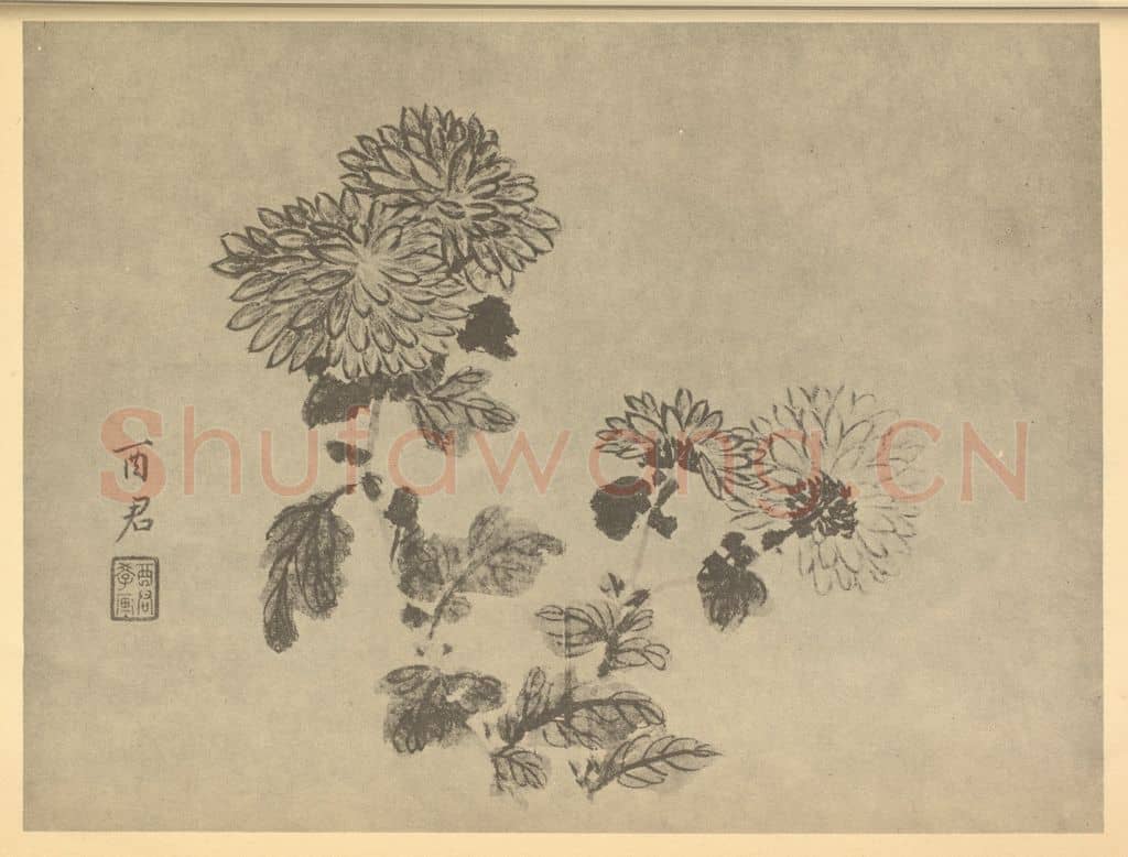 清 蒋廷锡《菊》国画作品