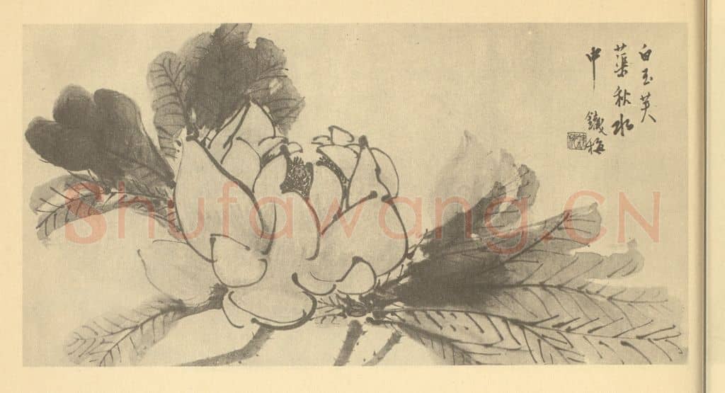 清 胡璋《芙蕖》国画作品