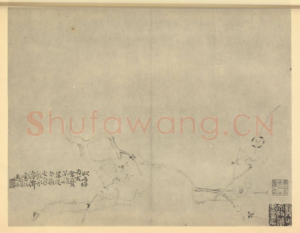 清 边寿民《梅花》国画作品