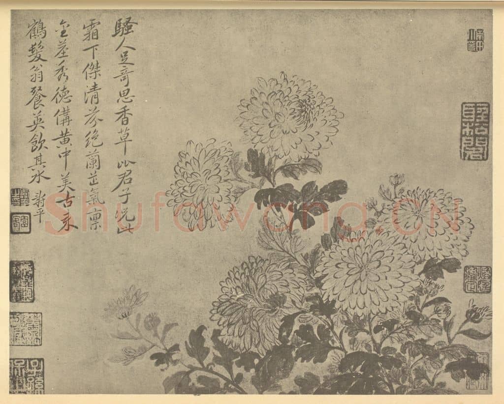 清 恽寿平《菊》国画作品
