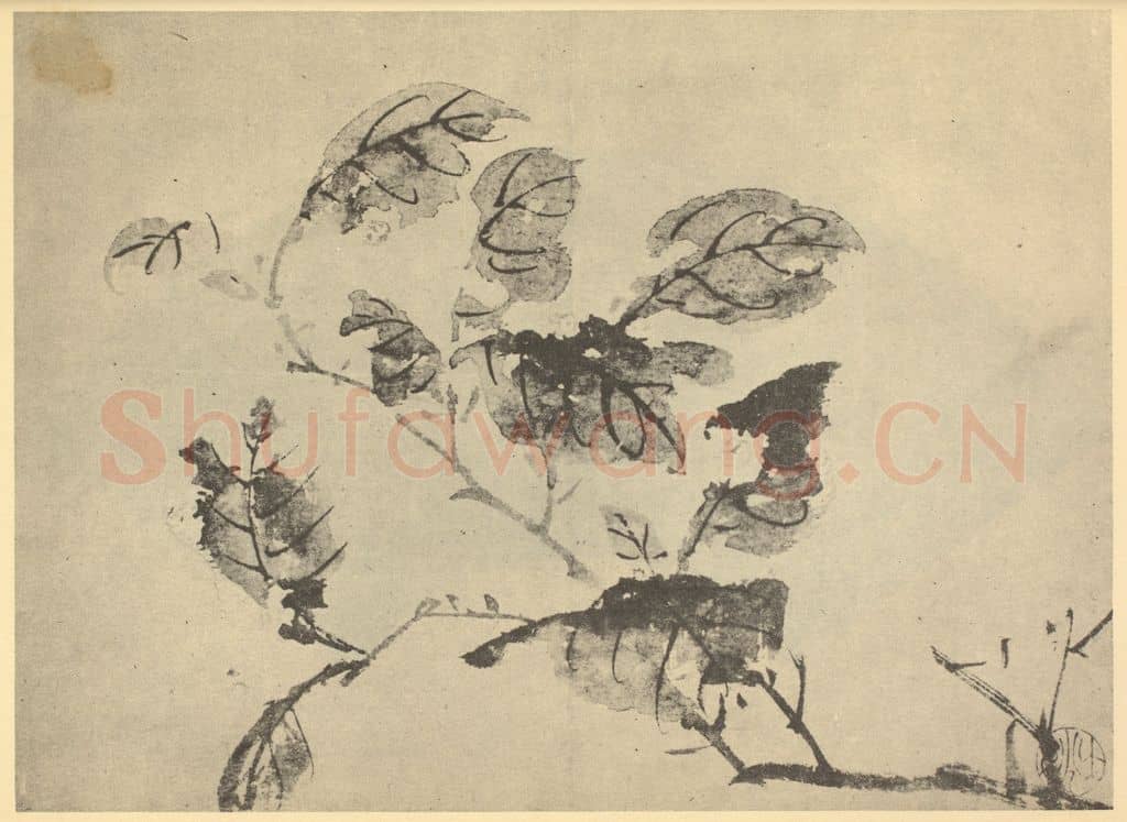 明 陈淳《画蠋》国画作品