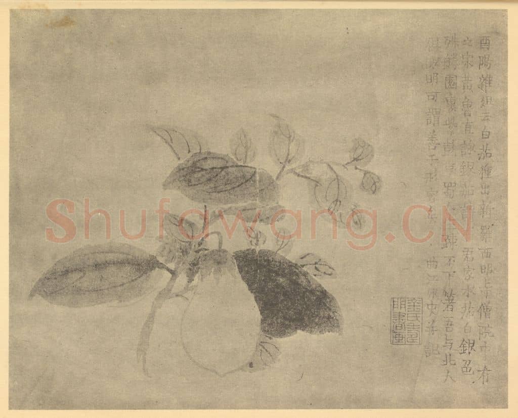 清 金农《白茄》国画作品