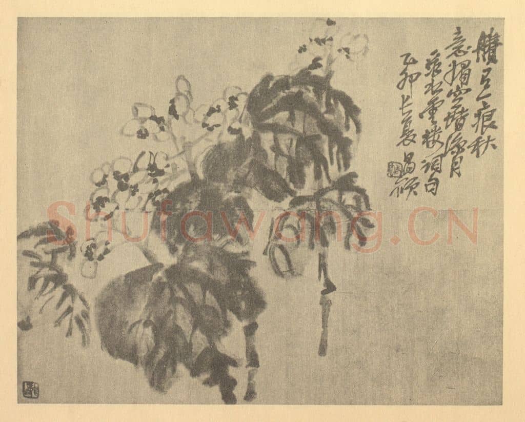 清 吴昌硕《秋海棠》国画作品