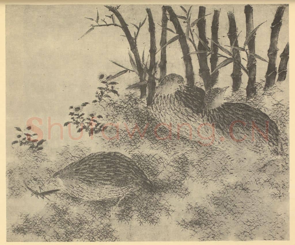 宋·辽 宋人《竹菊鹌鹑图》国画作品